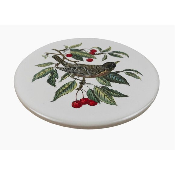 Hyalyn Set Of 2 Ceramic Bird Design Coasters Trivets Wall Hangings Cork Backing - Picture 8 of 10